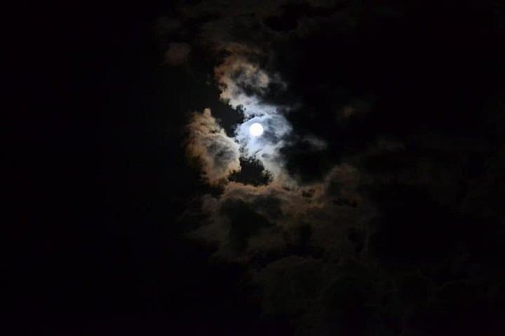 Night with Astrophile in the Conero Park - Private Tour — photo 1 of 5