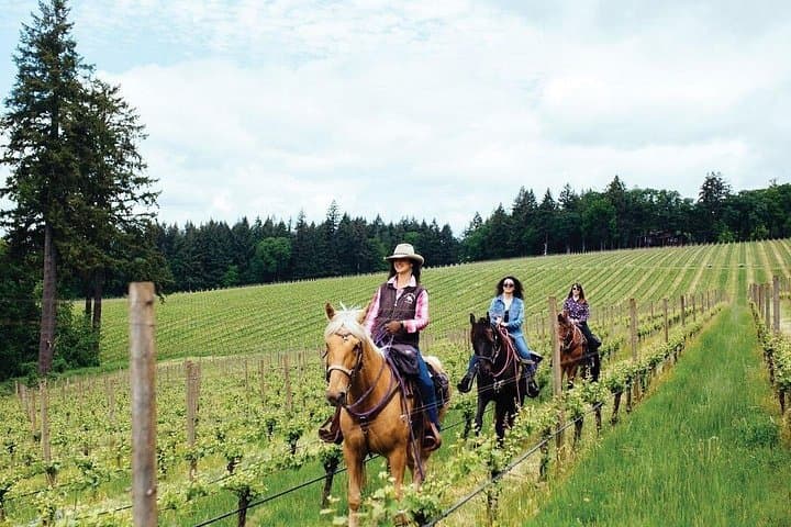 Horseback Ridings and Wine Tastings in a Winery of San Gimignano — photo 1 of 18