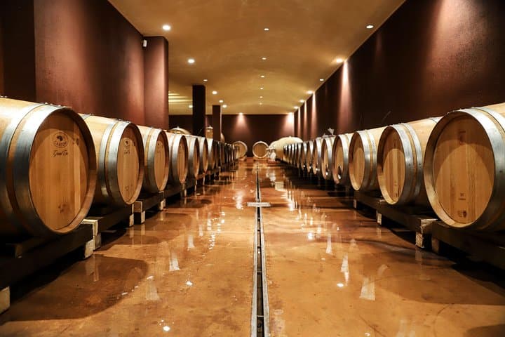Lake Garda: Wine Tour & Tasting Experience in Bardolino area — photo 1 of 11