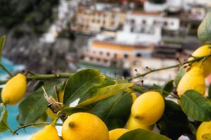 Local product and food tour in Sorrento — photo 1 of 6