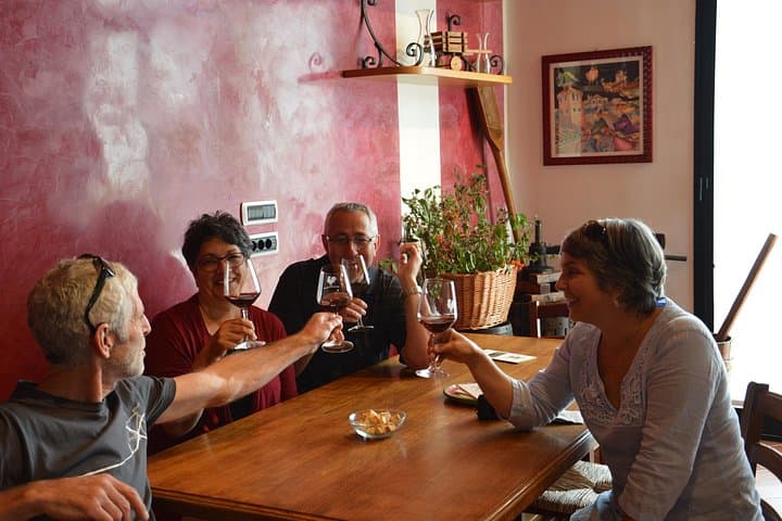 4 WINES TASTING in a Chianti Classico Farm (Visit/tour at the winery included) — photo 1 of 12