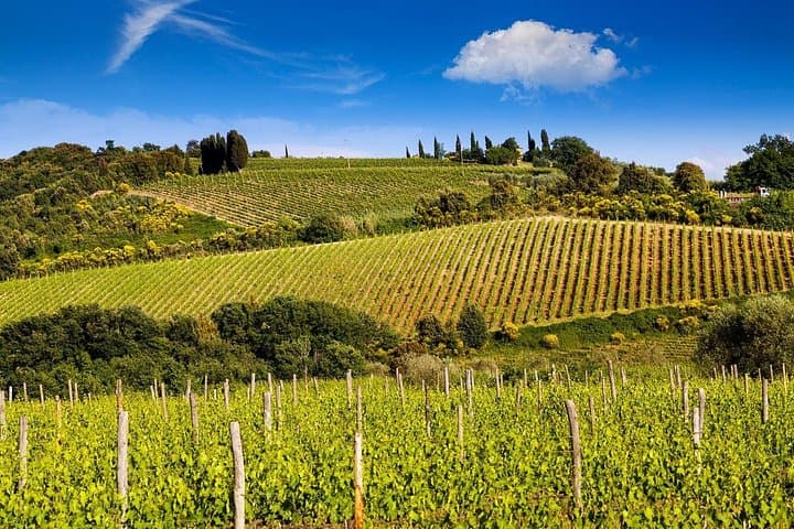 Private Classic Wine Tour in Chianti from Florence — photo 1 of 10