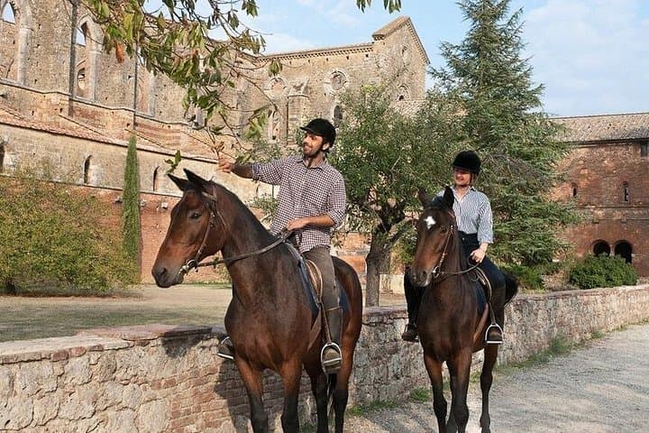 Horse Riding in Tuscany for Experienced or Beginner Riders — photo 1 of 27