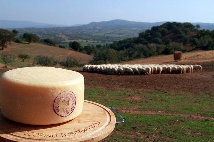 Pecorino Cheese Factory & Chianti Wine Tour in Tuscany - The perfect combination — photo 1 of 12