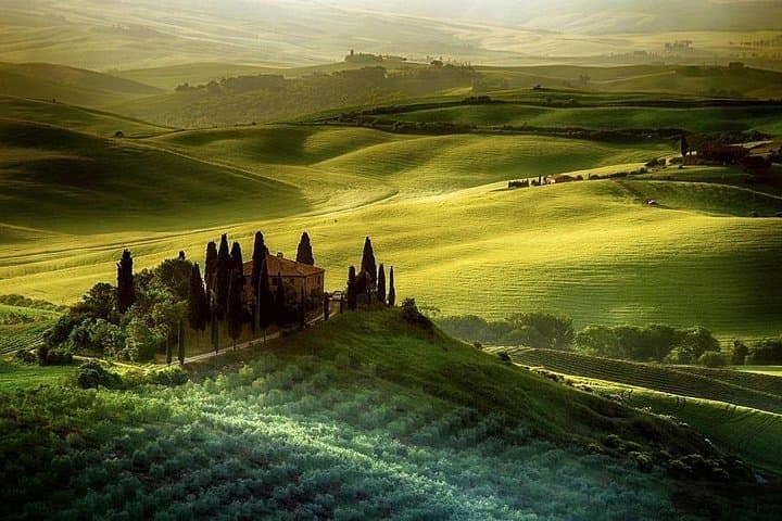 Day trip from Florence: Deluxe Wine Tasting Tour in Montalcino - private tour — photo 1 of 5