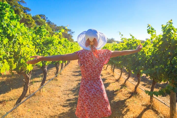 From Sirmione: Lugana Wine Experience — photo 1 of 18