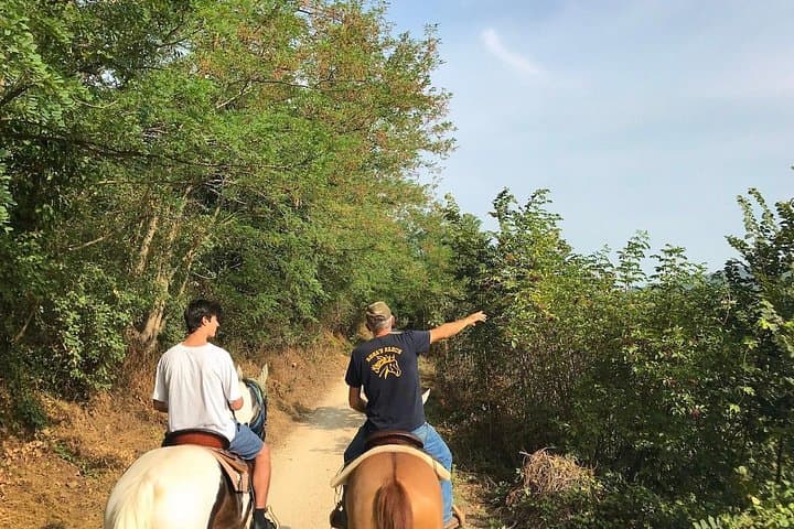 Horseback riding and wine tasting — photo 1 of 6