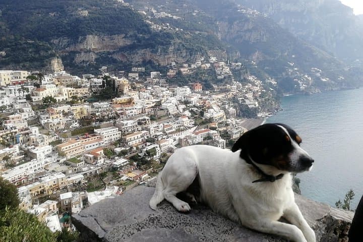 Pompeii, Positano, Sorrento full day with Pompeii guide bookable — photo 1 of 8
