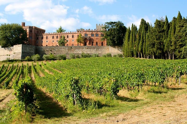 Livorno Port ShorExcursion: Siena San Gimignano Lunch&WineTasting — photo 1 of 8