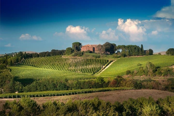 Montalcino: Brunello Wine Tasting Experience — photo 1 of 6