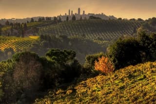 Small-Group Chianti and San Gimignano Sunset Trip from Siena
