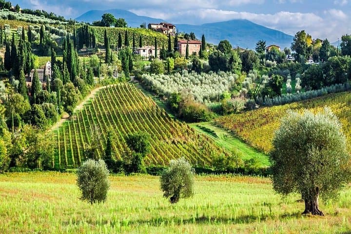 Truffle and Sommelier Vip Experience in Tuscany from Rome — photo 1 of 11