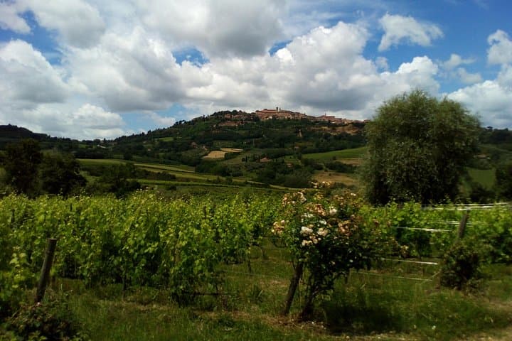 Wine and Cheese Tastings Southern Tuscany ShoreExcursion from Civitavecchia Port — photo 1 of 28