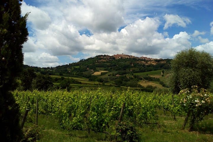 Montepulciano and Pienza Tuscany Wine&Cheese Fullday from Florence — photo 1 of 48