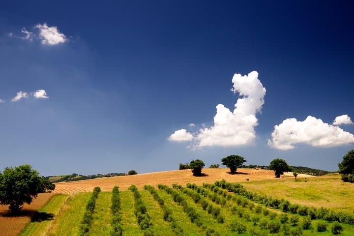 The Maremma — photo 1 of 10