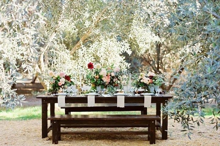 Think of a romantic meal in the Olive Trees shade, accompanied by Tuscan wines! — photo 1 of 8
