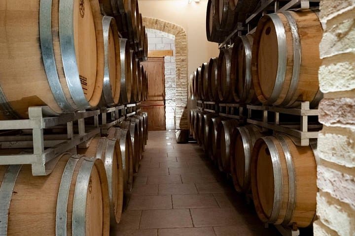 Live Online Experience: Montepulciano d'Abruzzo. — photo 1 of 5