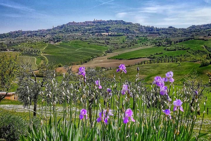 Montepulciano private guided tour — photo 1 of 11