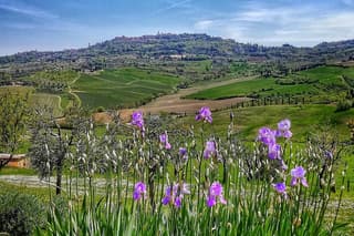 Montepulciano private guided tour