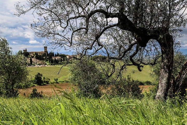 The Best of Chianti Classico E-bike tour — photo 1 of 4