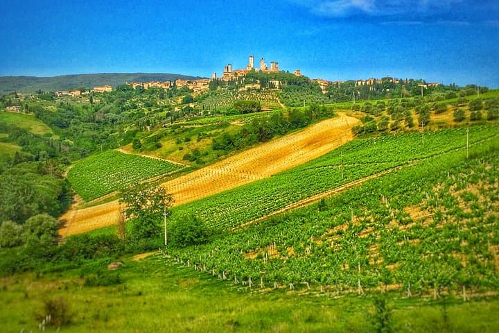 Chianti to San Gimignano Bike Tour — photo 1 of 3