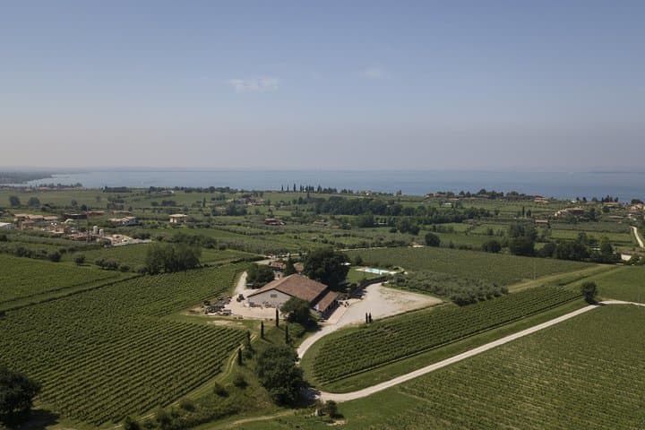Visit and wine tasting at Tenuta La Cà — photo 1 of 14