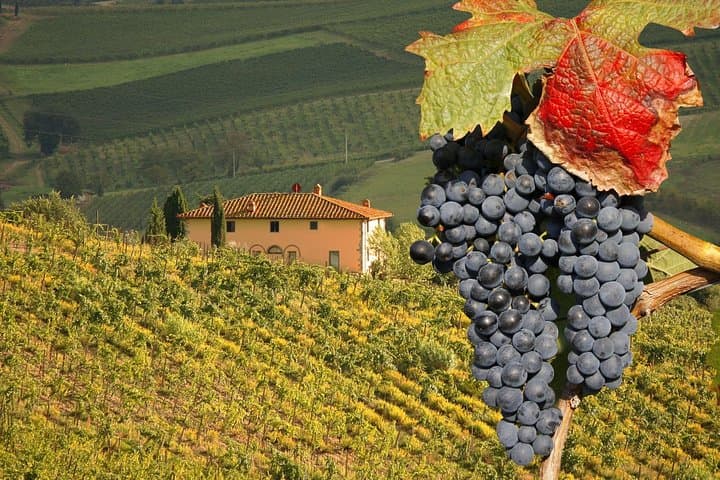 Montalcino and Pienza Tuscany Wine&Cheese ShoreExcursion from Civitavecchia Port — photo 1 of 10