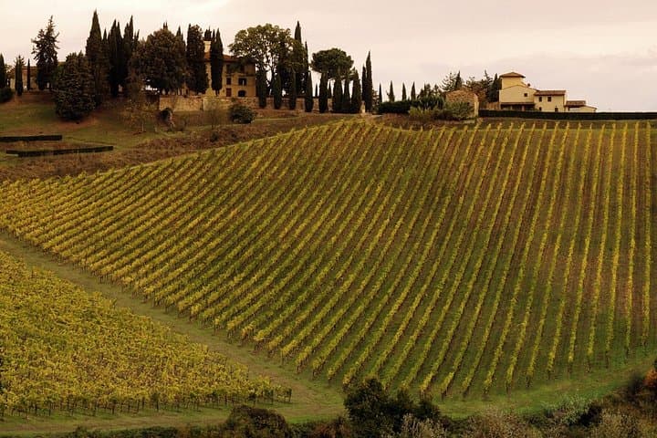 Montalcino and Pienza Tuscany Wine&Cheese Fullday from Florence — photo 1 of 10