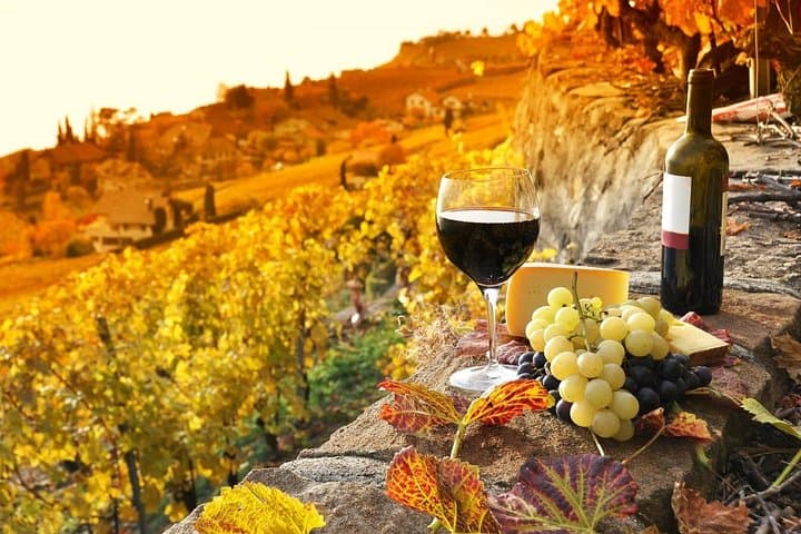 Montepulciano and Pienza Tuscany Wine&Cheese Fullday from Florence — photo 1 of 20
