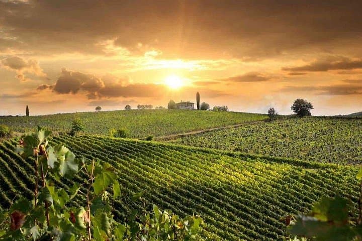 Montepulciano and Pienza Tuscany Wine&Cheese Fullday from Rome — photo 1 of 8