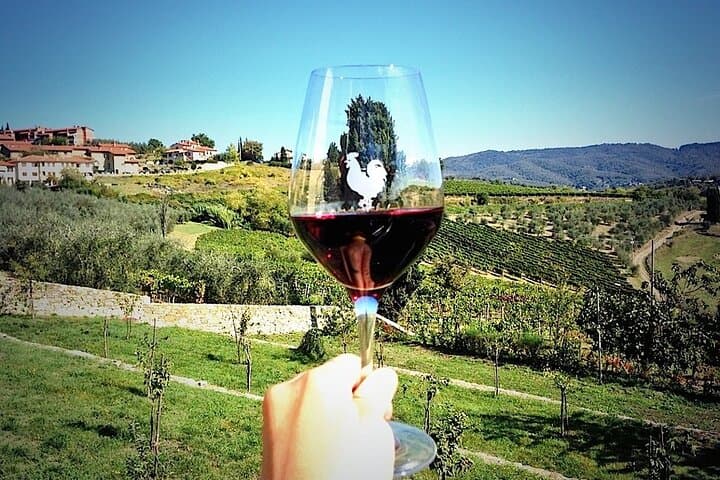 Livorno Shore Excursion: Chianti and Tuscany Countryside Private Wine Tour — photo 1 of 9