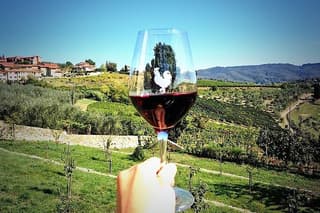 Livorno Shore Excursion: Chianti and Tuscany Countryside Private Wine Tour