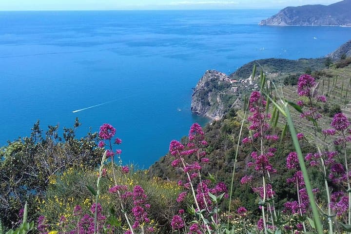 Cinque Terre unforgettable hiking experience — photo 1 of 13