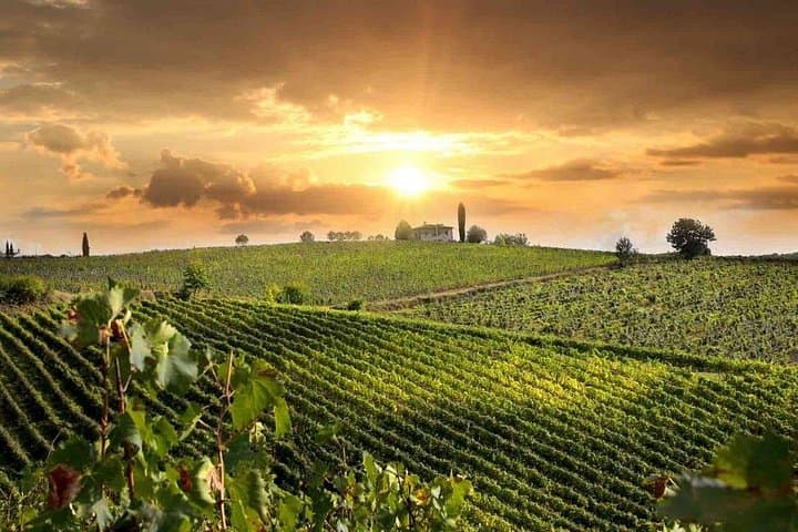 Wine Cheese and EVO Oil Tastings Southern Tuscany Fullday from Rome — photo 1 of 10