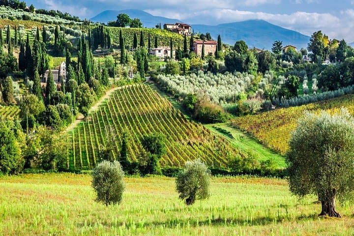 Truffle and Brunello Sommelier Vip Experience in Tuscany Lands from Florence — photo 1 of 12