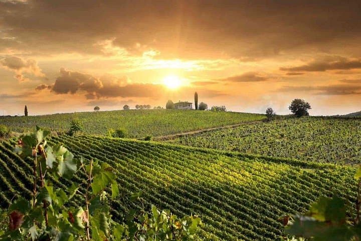 Wine and Cheese Tastings Southern Tuscany ShoreExcursion from Civitavecchia Port — photo 1 of 9
