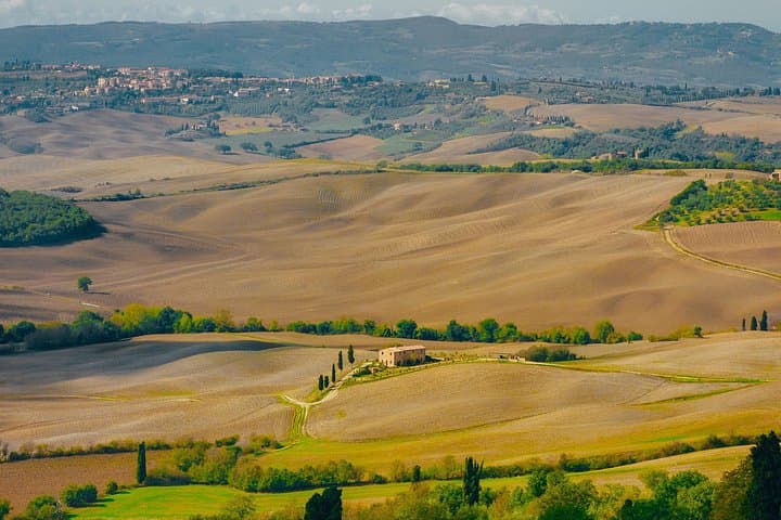 Montepulciano: Wine Tasting & Lunch in a typical winery — photo 1 of 9