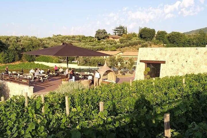 Small-Group Exclusive Winery and Wine Tasting Tour in Frascati — photo 1 of 10