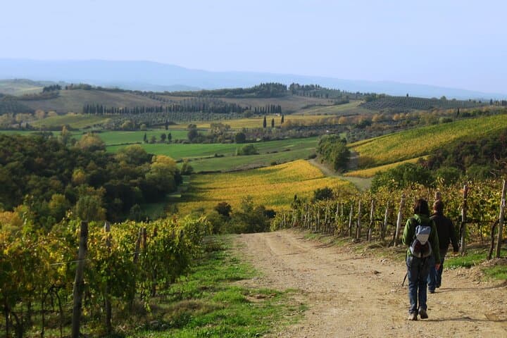 Tuscany Hiking Tour from Siena Including Wine Tasting — photo 1 of 7