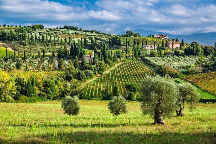 Montecarlo (Lucca) and Wine Tasting from Lucca Private Tour — photo 1 of 5