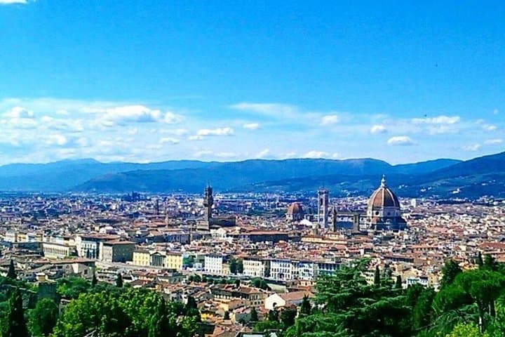 Shore Excursion from Livorno: Private Florence Tour with Michelangelo's 'David' — photo 1 of 8