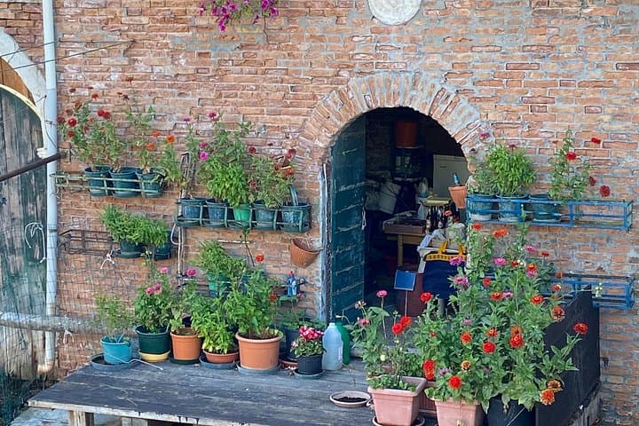 Another Side of the City: Discovering Authentic Venice — photo 1 of 11