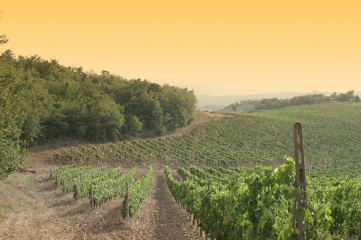 Luxury Chianti Tour — photo 1 of 6
