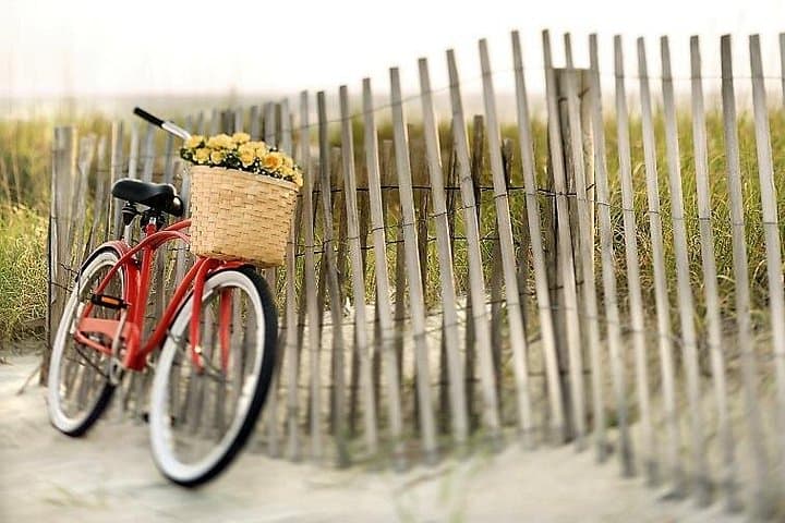 Lido Bike Tour: With a Local on the Island of Cinema — photo 1 of 22