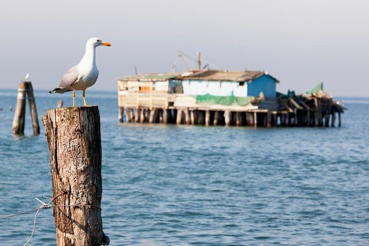 Pellestrina: Bike Hopping Around the Venice Lagoon Islands — photo 1 of 27