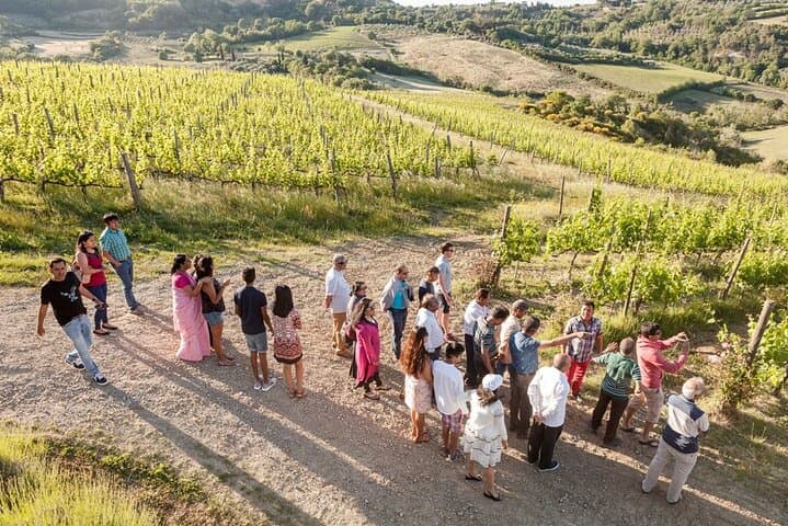 Vino Nobile di Montepulciano Wine Tour - Meet the producers — photo 1 of 4