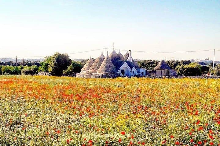 Puglia Full-Day Tour: Bari, Trulli of Alberobello, Castel del Monte and Sassi of Matera — photo 1 of 7