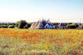 Puglia Full-Day Tour: Bari, Trulli of Alberobello, Castel del Monte and Sassi of Matera