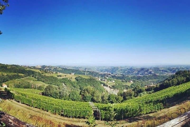 Barolo&Barbaresco Wine Experience with a Local Winemaker / Milano — photo 1 of 11