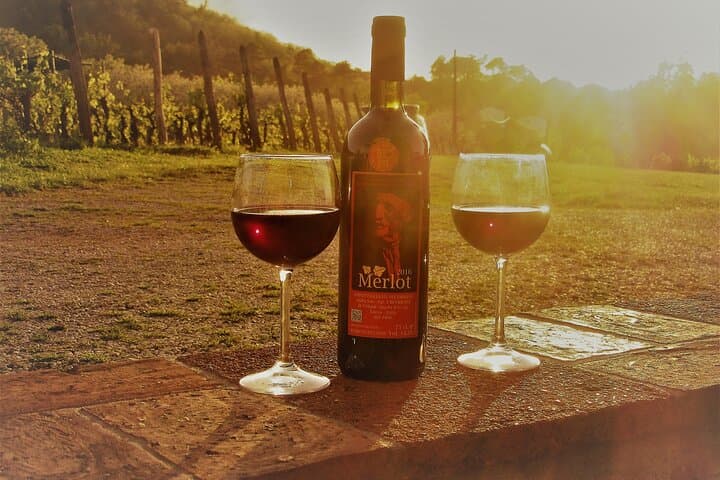 Guided E-Bike Tour with Wine Tasting from Lucca — photo 1 of 9